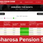 NTR Bharosa Pension