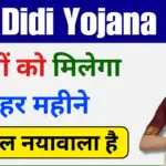 Gogo Didi Yojana